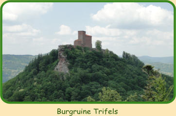 Burgruine Trifels